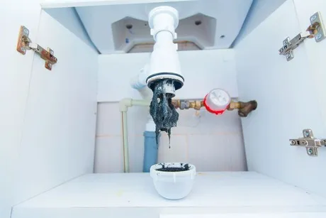 plumbing services Windsor